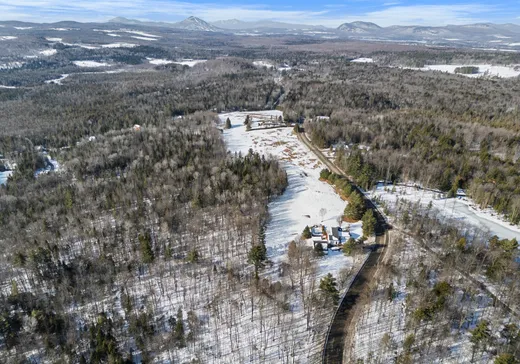 Terrain à vendre - Ch. Tétreaul Ch. Tétreault, Magog, J1X 0M9