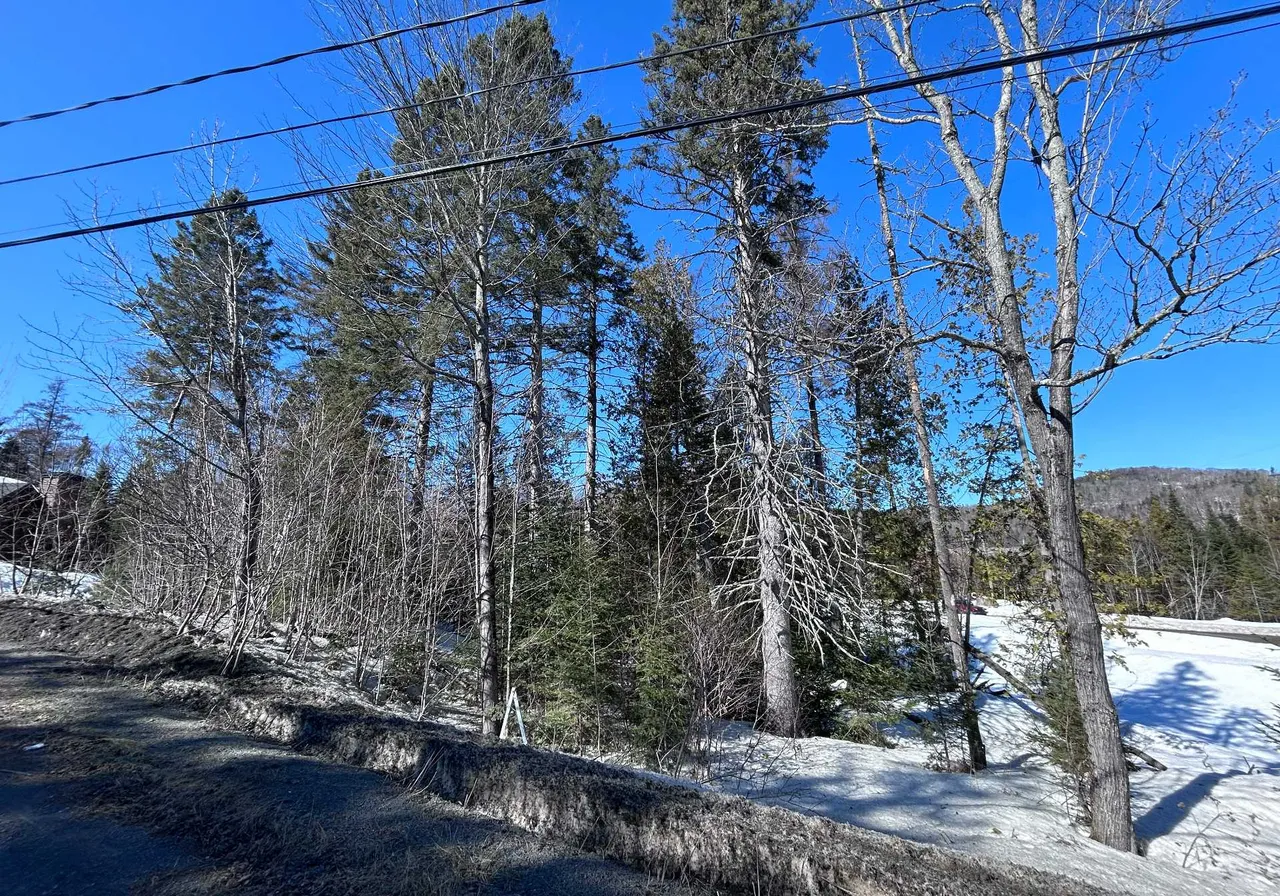 Land for Sale - Rue Séraphin Rue Séraphin, Sainte-Adèle, J8B 2G4