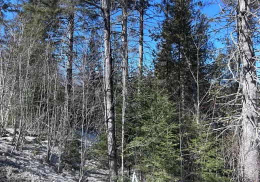 Terrain à vendre - Rue Séraphin Rue Séraphin, Sainte-Adèle, J8B 2G4