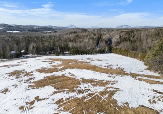Terrain à vendre - Ch. Tétreaul Ch. Tétreault, Magog, J1X 0M9