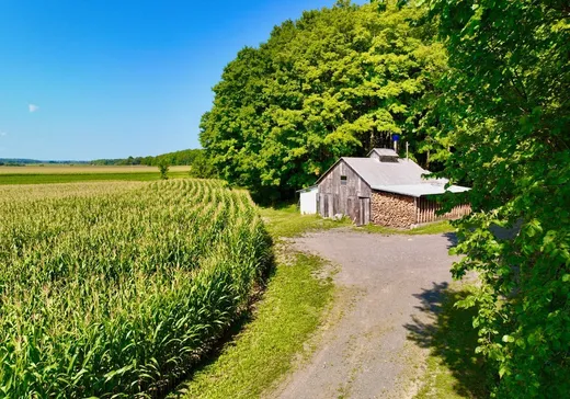 Land for Sale - Route Princi Route Principale, Rigaud, J0P 1P1