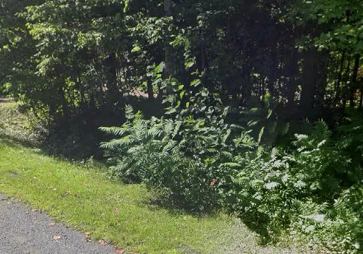 Land for sale - Rue des Orio Rue des Orioles, Rigaud, J0P1P1