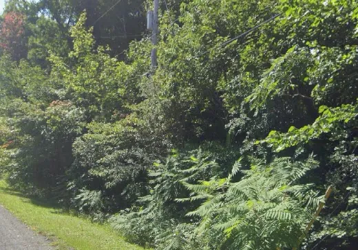 Land for Sale - Rue des Orio Rue des Orioles, Rigaud, J0P 1P1