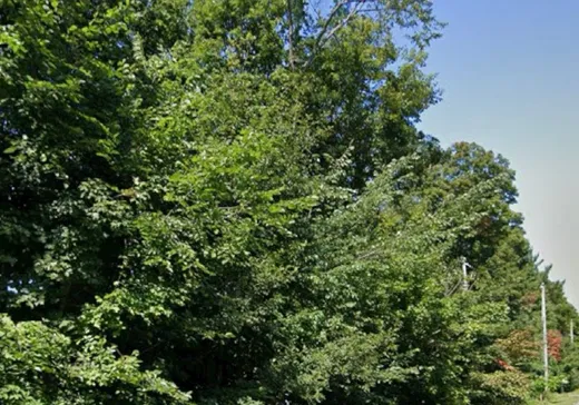 Land for Sale - Rue des Orio Rue des Orioles, Rigaud, J0P 1P1
