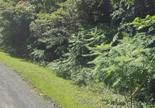 Land for Sale - Rue des Orio Rue des Orioles, Rigaud, J0P 1P1