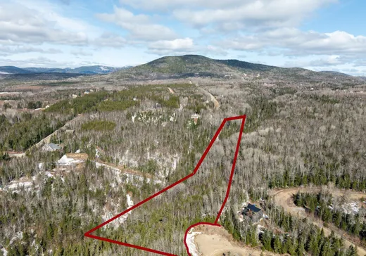 Land for Sale - O Ch. Alfred-Pellan, Petite-Riviere-St-Francois, G0A 2L0