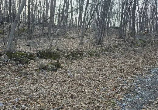Terrain à vendre - 75 Ch. Buisson, Val-des-Monts, J8X3P5