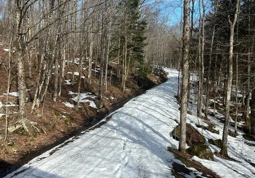 Terrain à vendre - 273Z Rg du Mont-Orignal, Lac-Etchemin, G0R 1S0