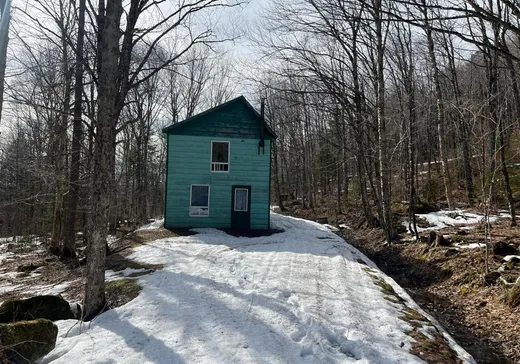 Terrain à vendre - 273Z Rg du Mont-Orignal, Lac-Etchemin, G0R 1S0