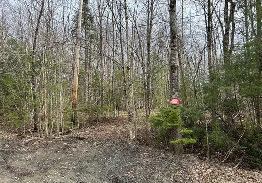 Terrain à vendre -  Rue du Colibri, Magog, J1X0M6