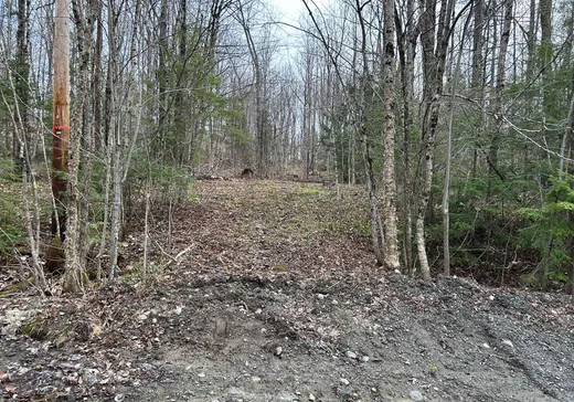 Terrain à vendre -  Rue du Colibri, Magog, J1X 0M6
