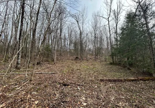 Terrain à vendre -  Rue du Colibri, Magog, J1X 0M6