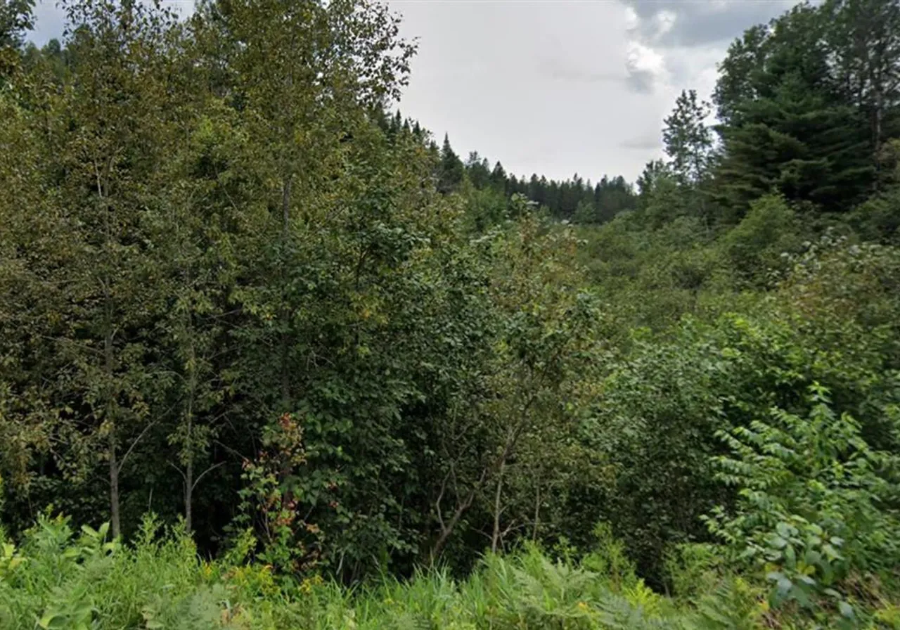 Terrain à vendre -  Rue Desrosiers, St-Jean-De-Matha, J0K 2S0