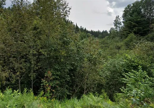 Terrain à vendre -  Rue Desrosiers, St-Jean-De-Matha, J0K2S0