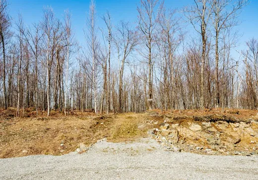 Land for Sale -  Rue de la Samare, Eastman, J0E 1P0