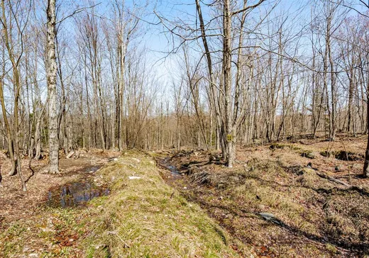 Land for Sale -  Rue de la Samare, Eastman, J0E 1P0
