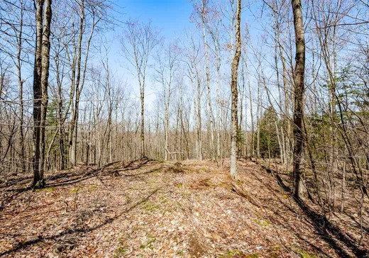 Land for Sale -  Rue de la Samare, Eastman, J0E 1P0