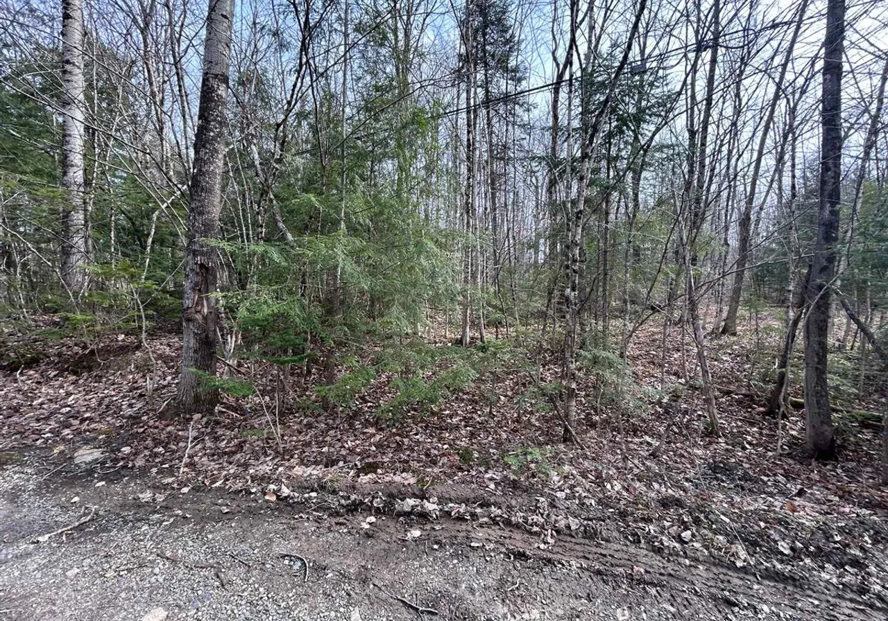 Terrain à vendre -  Rue du Colibri, Magog, J1X 0M6