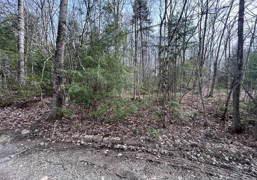 Terrain à vendre -  Rue du Colibri, Magog, J1X0M6