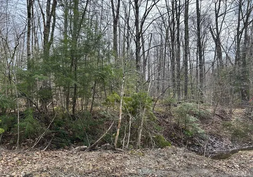 Terrain à vendre -  Rue du Colibri, Magog, J1X 0M6