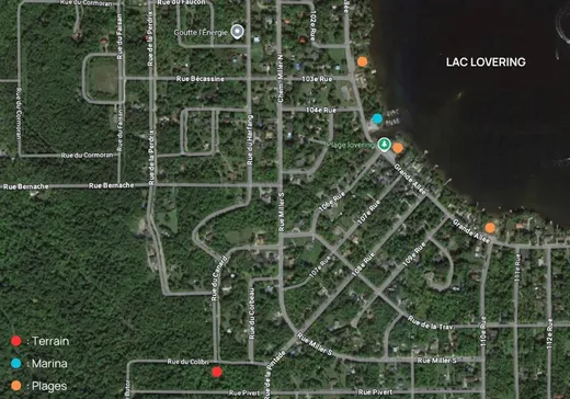 Terrain à vendre -  Rue du Colibri, Magog, J1X 0M6