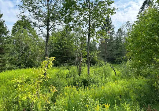 Land for Sale - Ch. de Barkm Ch. de Barkmere, Notre-Dame-de-la-Merci, J0T 1A0