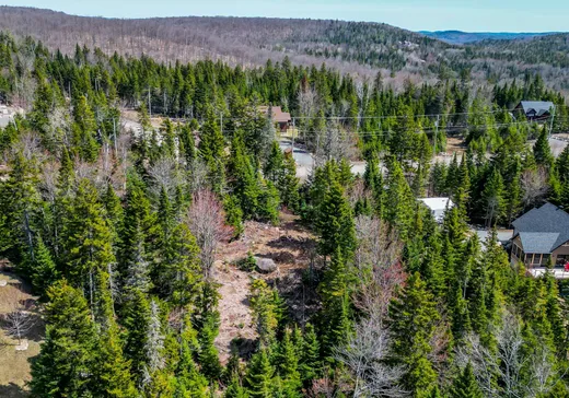 Land for Sale -  Rue des Gardénias, Val David, J0T 2N0
