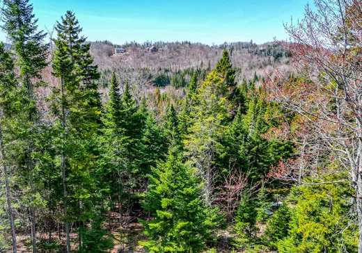 Land for Sale -  Rue des Gardénias, Val David, J0T 2N0