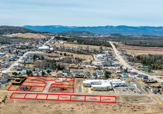 Land for sale -  Rue des Champs, Saint-Hilarion, G0A3V0