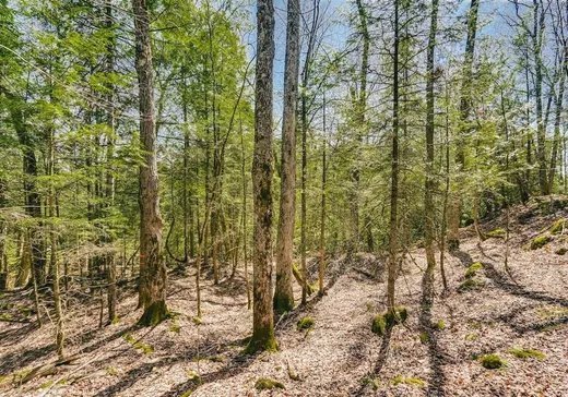 Land for Sale -  Ch. Higgins, Hull, J0X 2C0