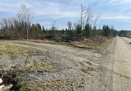 Land for Sale -  2e Rang, Saint-Camille-de-Lellis, G0R 2S0