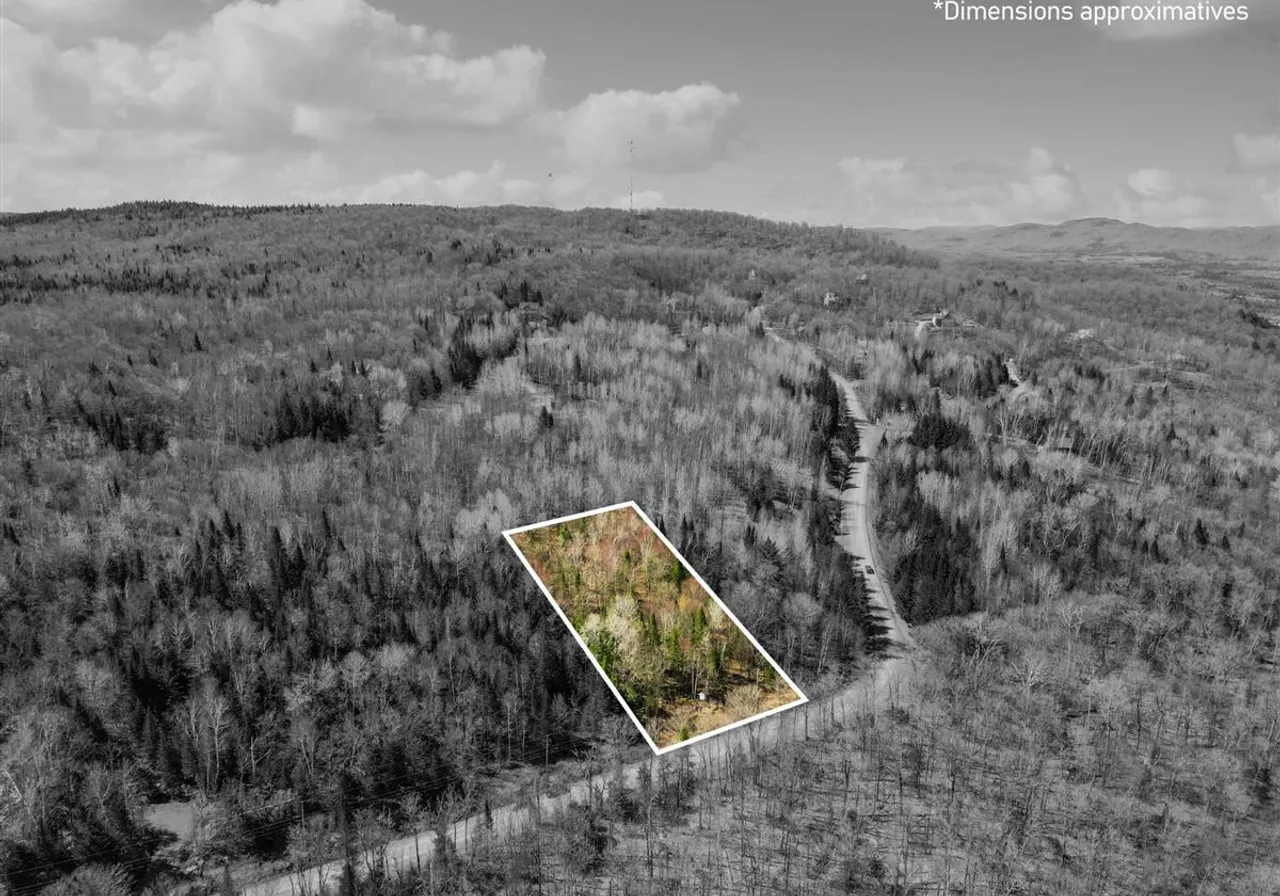 Land for Sale - 25 Ch. des Faucons, Val-des-Lacs, J0T 2P0