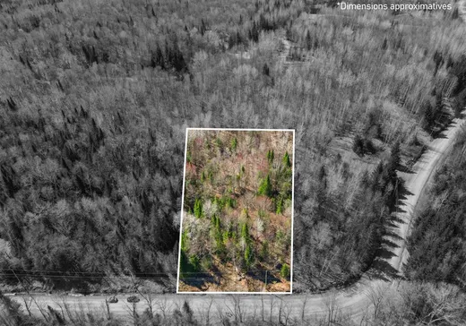 Land for Sale - 25 Ch. des Faucons, Val-des-Lacs, J0T 2P0