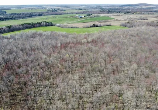 Land for Sale -  Chemin Grandmont, Danville, J0A 1A0