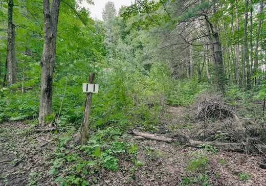 Land for sale - 11Z Ch. Throop, Gatineau, J9B2E5