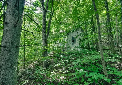 Land for Sale - 11Z Ch. Throop, Gatineau, J9B 2E5
