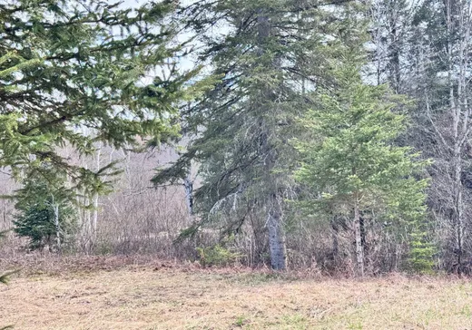 Land for Sale -  Boul. Fernand-Lafontaine, Rivière-Rouge, J0T 2X0