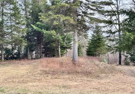 Land for Sale -  Boul. Fernand-Lafontaine, Rivière-Rouge, J0T 2X0