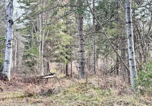 Land for Sale -  Boul. Fernand-Lafontaine, Rivière-Rouge, J0T 2X0