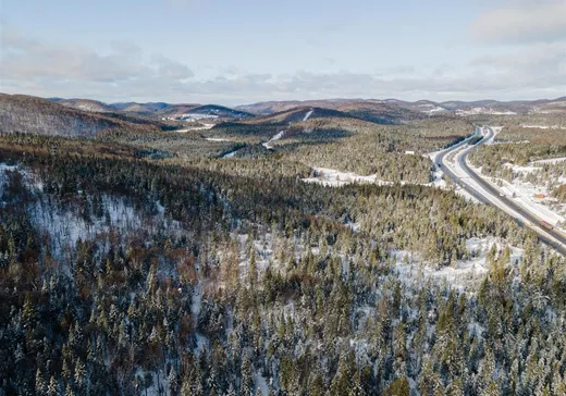 Terrain à vendre -  Route 117, Sainte-Agathe-des-Monts, J8C 2Z8