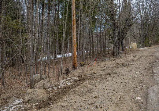Land for Sale -  Ch. du Lac-Blanc, Huberdeau, J0T 1G0