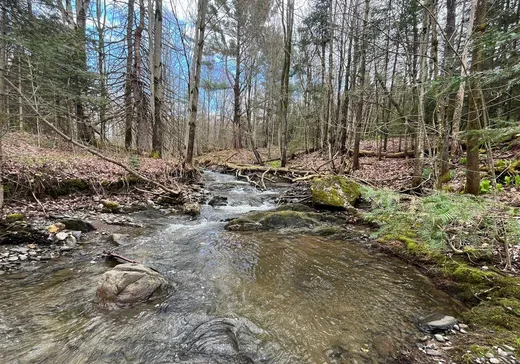Land for Sale -  Rue Principale, Lawerenceville, J0E 1W0