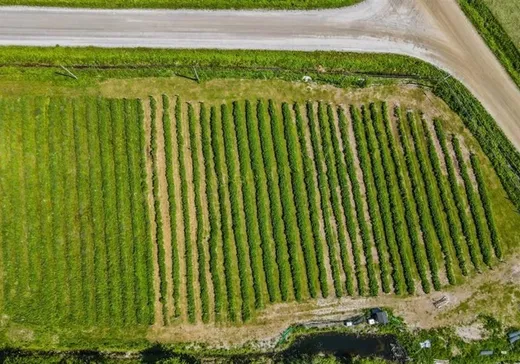 Terrain à vendre - 7901 Rg Fréchette, Chesterville, G0P1J0