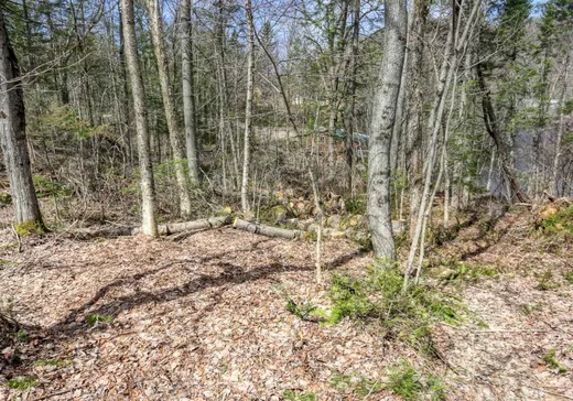 Land for Sale -  Rue Carpentier, Notre-Dame-de-Montauban, G0X 1W0