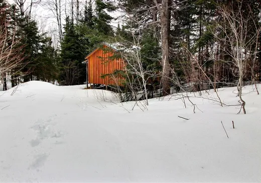 Land for sale - 8191 Ch. des Érables, Percé, G0L2L0