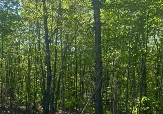 Terrain à vendre -  Chemin du Merle, Gore, J0V 1T0