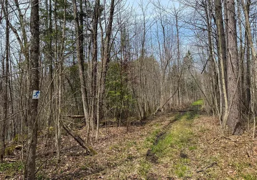 Terrain à vendre -  Route des Outaouais, Harrington, J8G 2S5