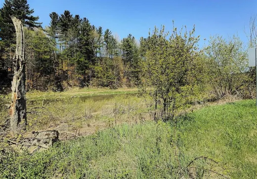 Terrain à vendre - 14 Rue Pellerin, Saint-Christophe-D'Arthabaska, G6S 0H2