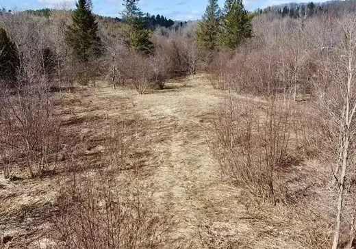 Terrain à vendre - 367 Ch. de Wakefield-Heights, Wakefield, J0X3G0