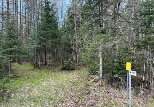Terrain à vendre - 575 Route 162, Saint-Louis-de-Blandford, G0Z 1B0